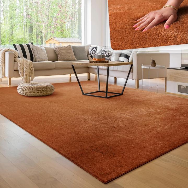 Actual product image Paco Home Teppich Weich Super Soft Wohnzimmer Cuivre - 100x200 (100x200 cm)