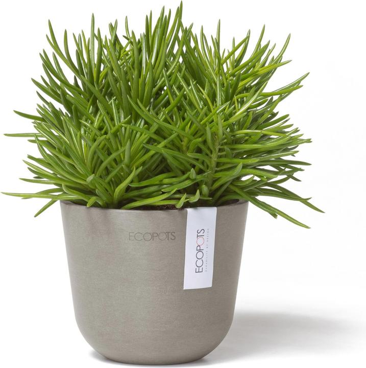 Immagine prodotto Ecopots Oslo Mini (11.50 cm)