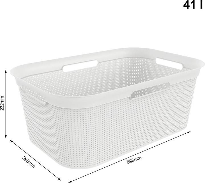 Image du produit Rotho Brisen (50 l)
