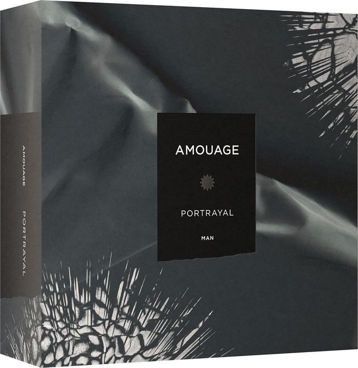 Image du produit Amouage Portrayal Man - EDP - Volume : 100 ml (Eau de parfum, 100 ml)