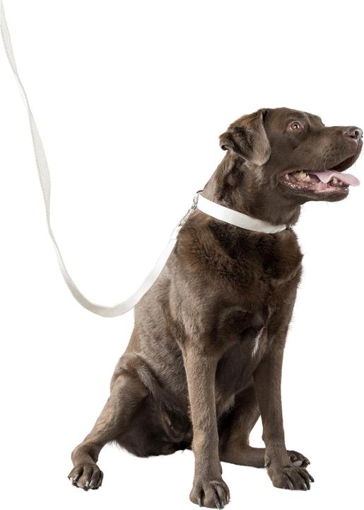 Produktbild Flamingo Lago (Hund, Spazieren)