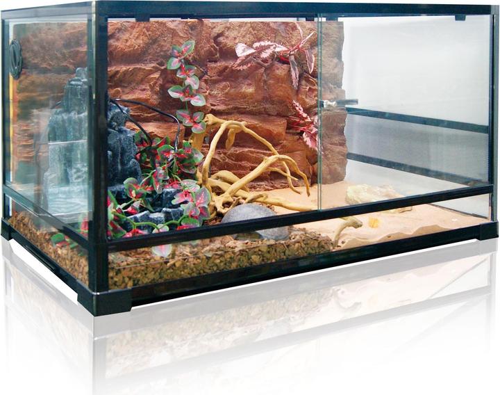 Amazonas Terrarium