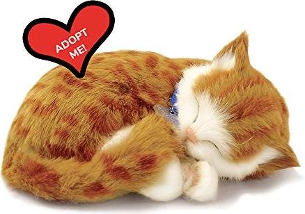 Produktbild Perfect Petzzz Soft Orange Cat (4 cm)