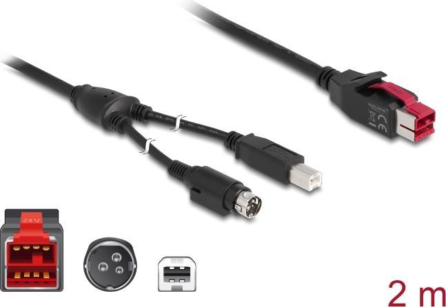 Produktbild Delock 85488 PoweredUSB Kabel Stecker 24 V (2 m, USB 2.0)