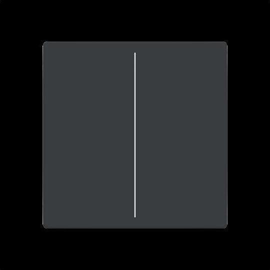 Actual product image Busch-Jaeger Cover