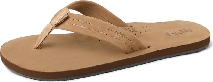 Produktbild Reef Draftsmen (46)