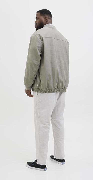 Actual product image Jack & Jones Plus Size Relaxed Fit Relaxed Fit Hosen Relaxed Fit Hosen (46)