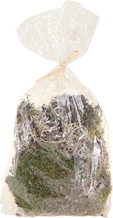 Actual product image Viana Deko- zum Basteln Mix
