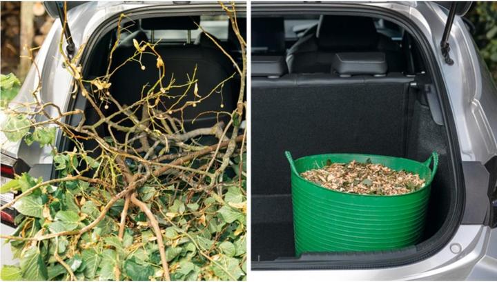Actual product image Bosch Home & Garden AXT Rapid 2200