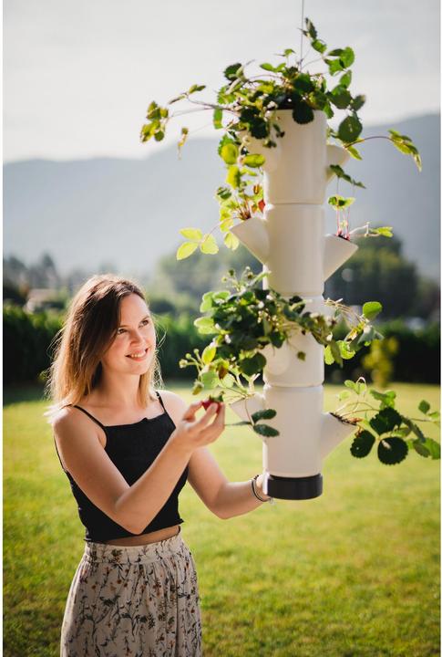Immagine prodotto Gusta Garden Sissi Fragola (17 cm)