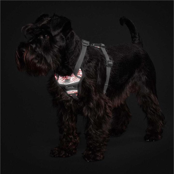 Actual product image Hunter Divo Reflect tableware (L, Dog, General)