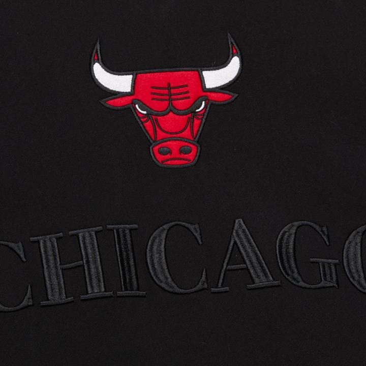 Image du produit Mitchell & Ness Fleece Hoody - ORIGINS Chicago Bulls (M)