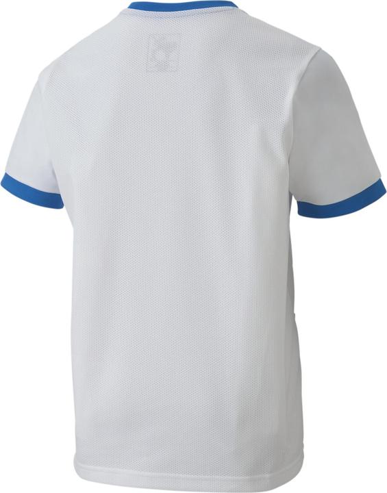 Actual product image Puma teamGOAL 23 Jersey jr-704160 (128)