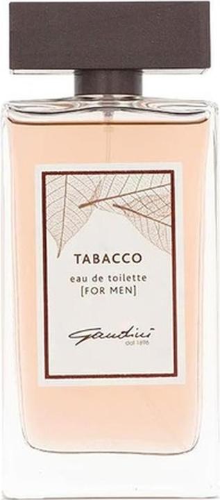 Gandini Tabacco For Men Eau de Toilette 100 Vapo (Eau de Toilette, 100 ml)