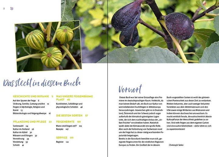Actual product image Feigen aus dem eigenen Garten (German, Christoph Seiler, 2022)