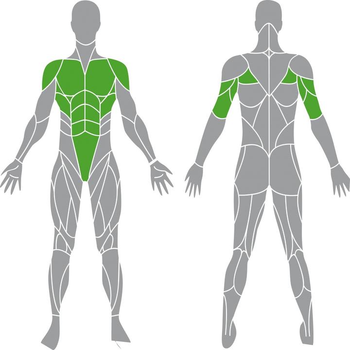 Image du produit Tunturi Platinum Plate Loaded Chest Press