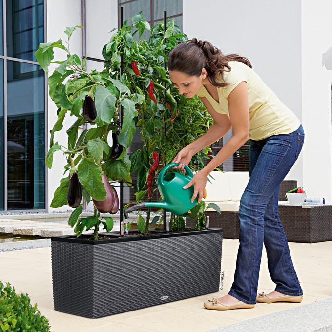 Produktbild Lechuza Blumentopf Trio Cottage 30 (100 cm)