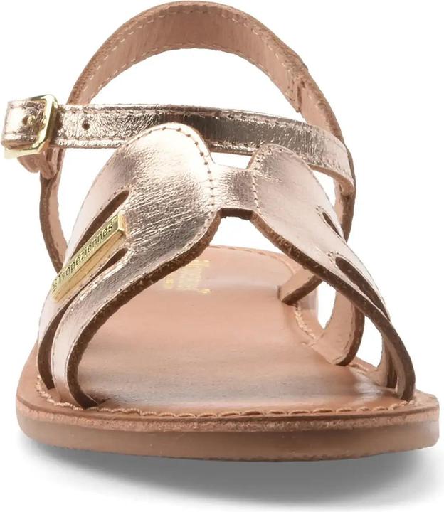 Actual product image LES Bamia (35)