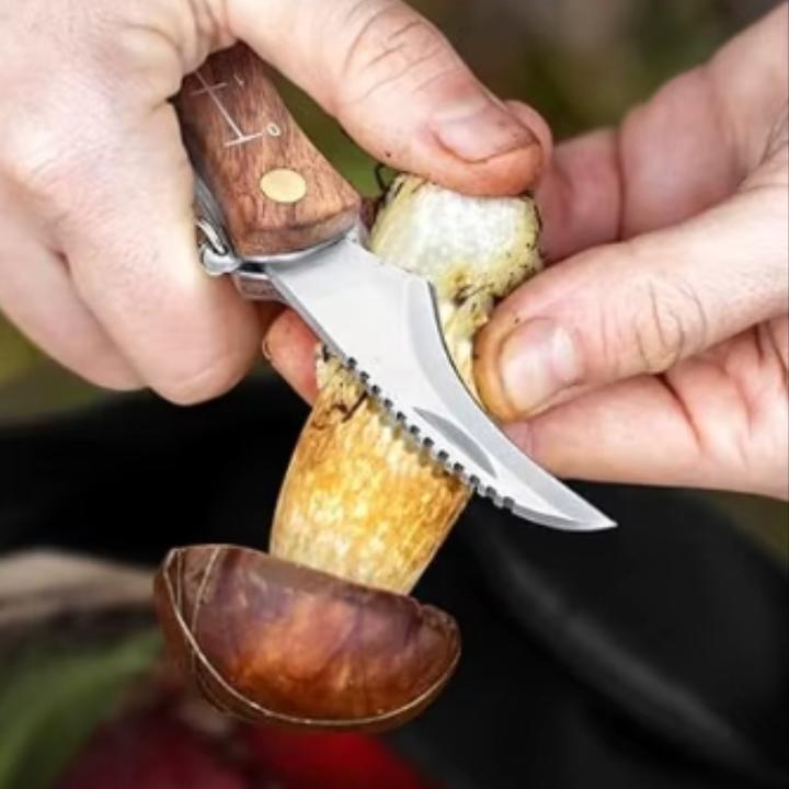 Actual product image WMF Couteau pliant à champignons