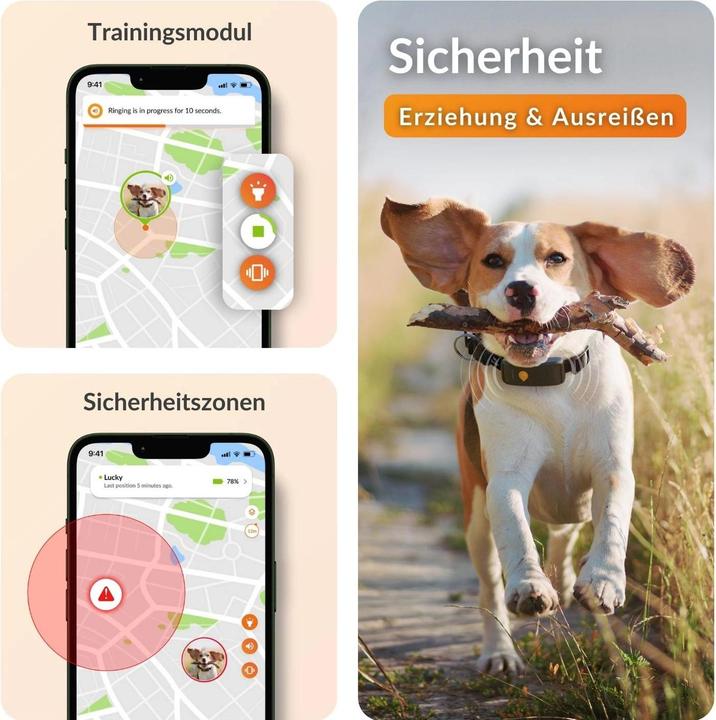 Image du produit Weenect Traceur GPS (XL, Chien, Général)