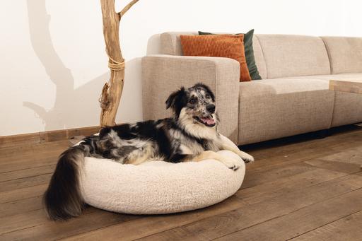 Productafbeelding Beeztees Jaxx (Hond)