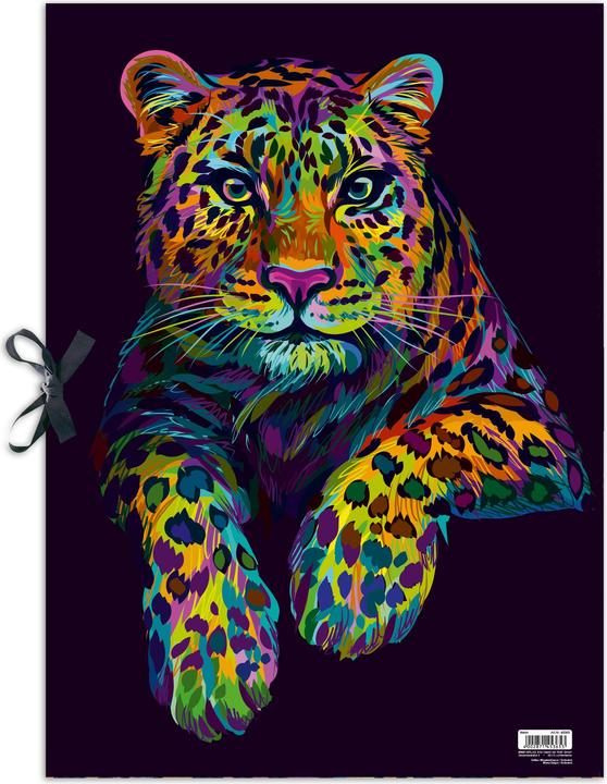 Busta portadocumenti