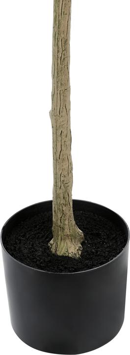 Actual product image Beliani Olive Tree (178 cm)