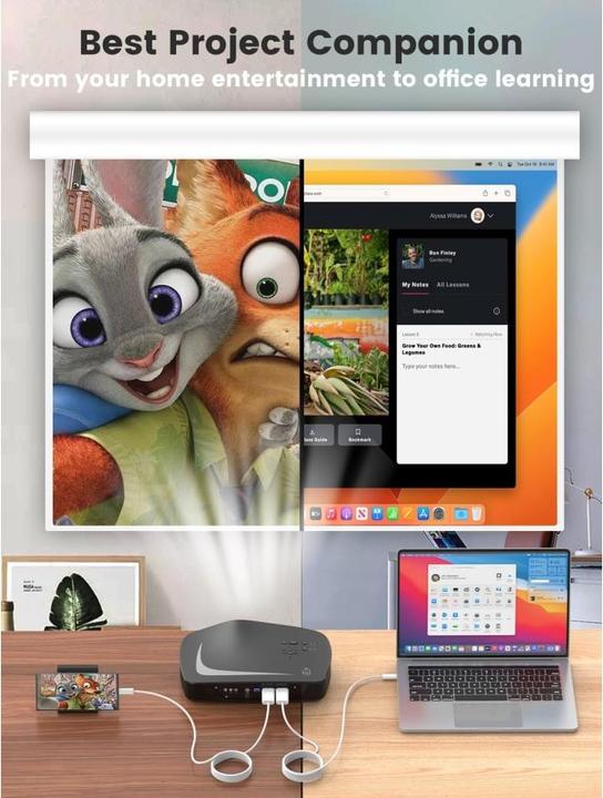 Immagine prodotto PowerGuard USB-C to HDMI Monitor TV 4K Ultra HD Connection 30Hz 2m (HDMI)