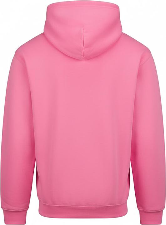 Image du produit Awdis - Sweat à capuche COLLEGE - Adulte (XS)