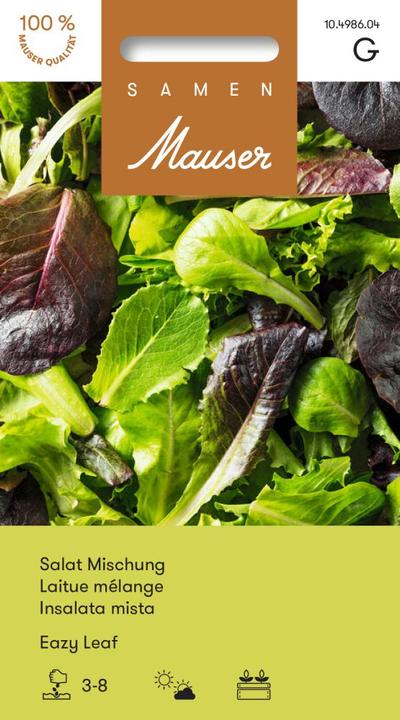 Produktbild Samen Mauser Eazy leaf Mischung (Gemüsesamen)