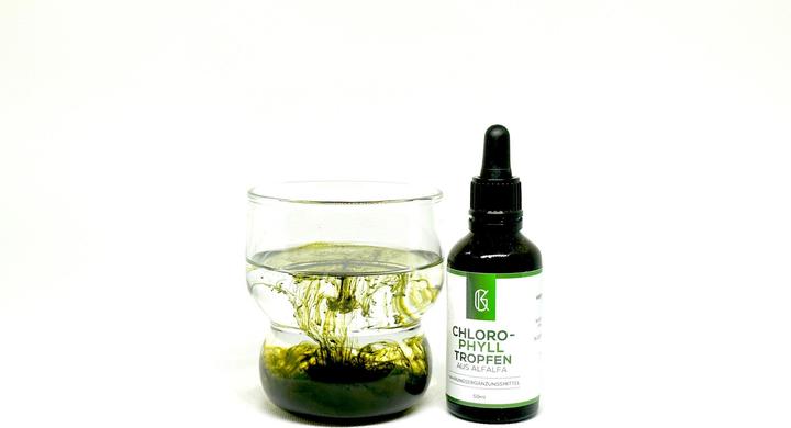 Produktbild Kraftgras Chlorophyll Tropfen aus Alfalfa (1 Stück, Tropfen)