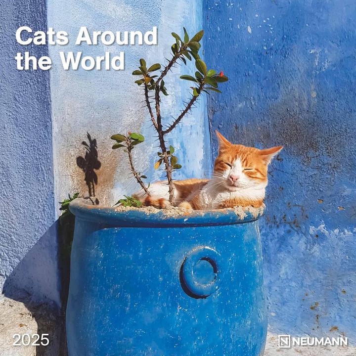 Actual product image Neumann N NEUMANNVERLAGE - Cats Around the World 2025 Brochure Calendar, 30x30cm, Wall Calendar with (30 x 30 cm)