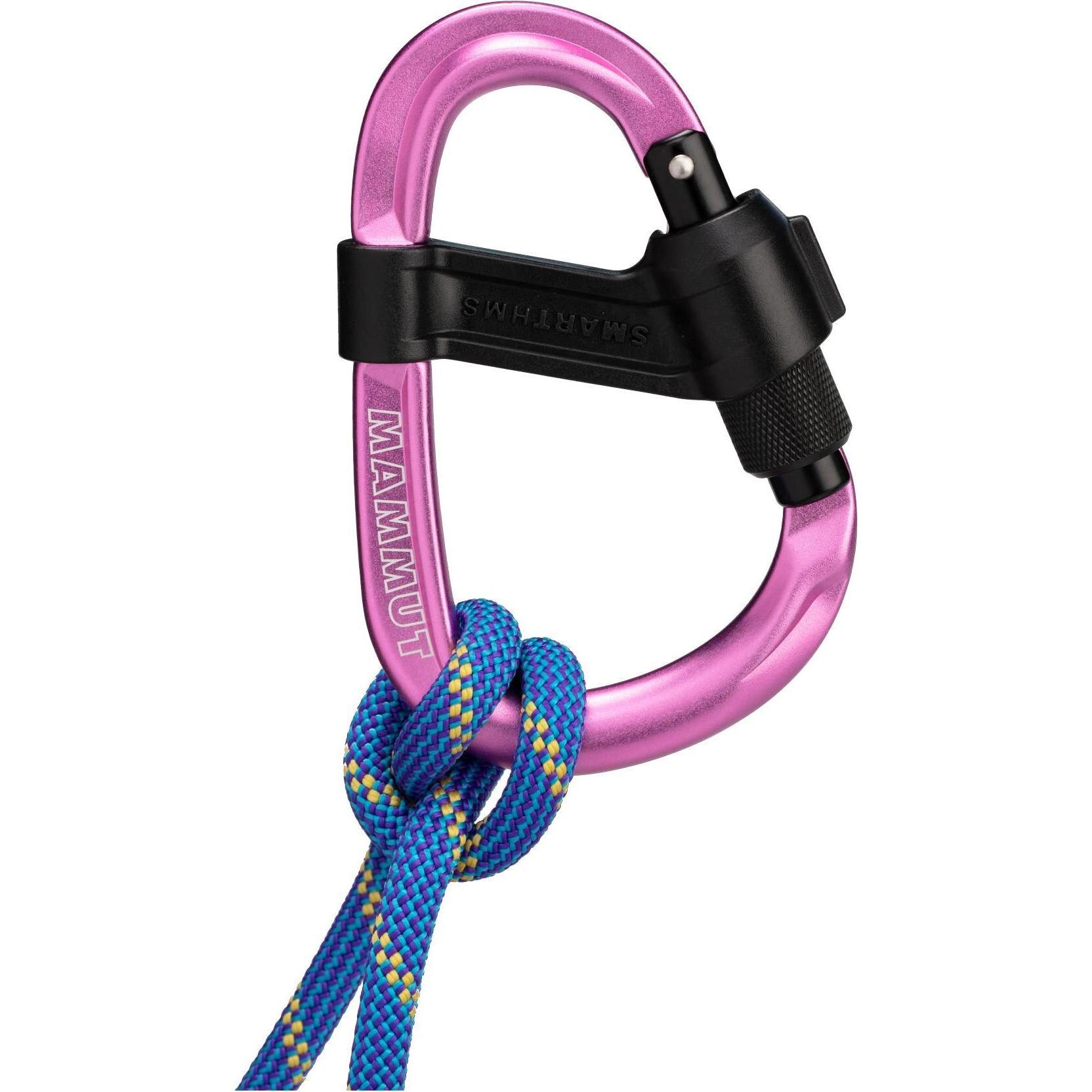 Thumbnail - Mammut, Karabiner