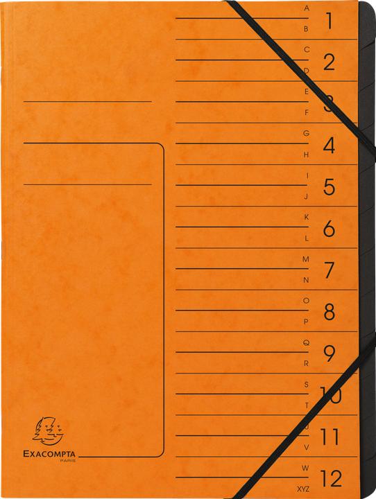 Actual product image Exacompta Stapled file folders (A4, 1 x)