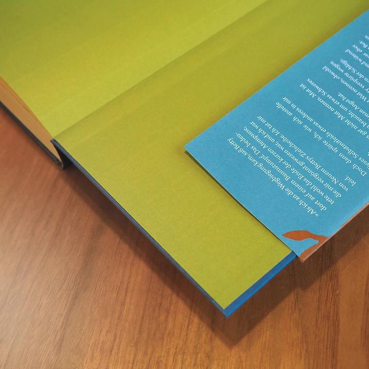 Produktbild Das Jahr, in dem ich lügen lernte (Deutsch, Lauren Wolk, 2017)