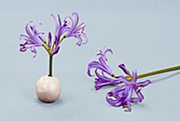 Image du produit Kaiser Fototechnik Pte adhsive, 250 g