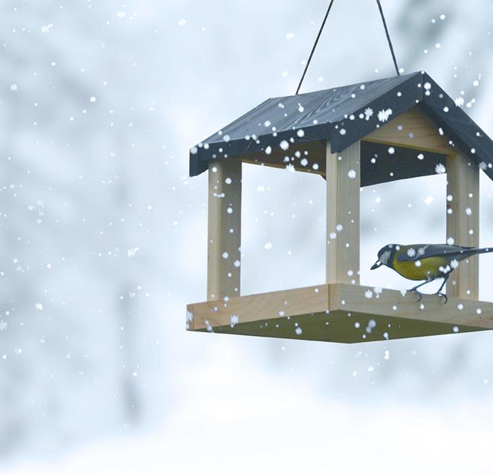 Image du produit Esschert Design Mangeoire suspendue 19,9x20,0