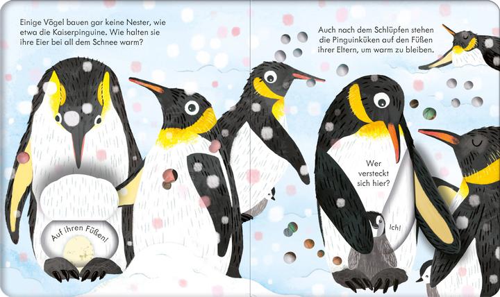 Actual product image Guck mal, wer da ist! Im Vogelnest (German, Anna Milbourne, 2023)