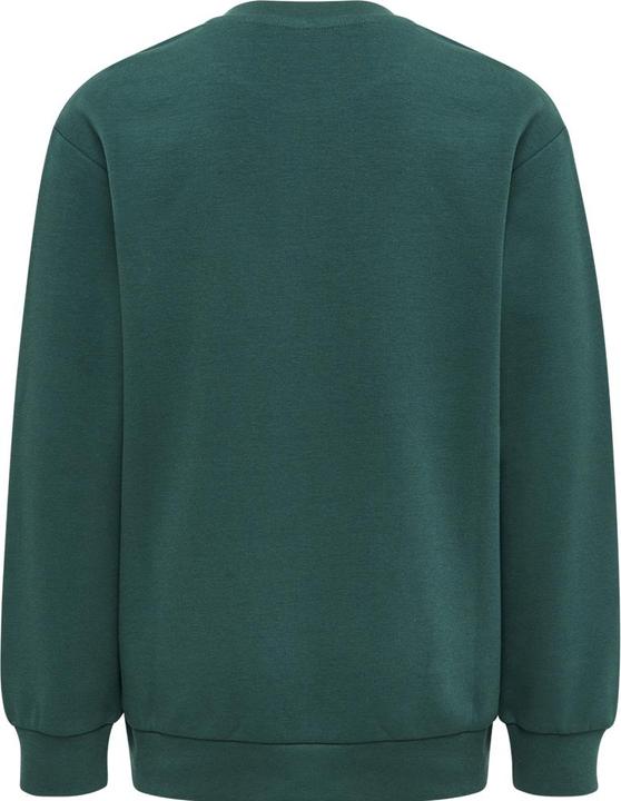 Image du produit hummel Dos Sweatshirt (164)