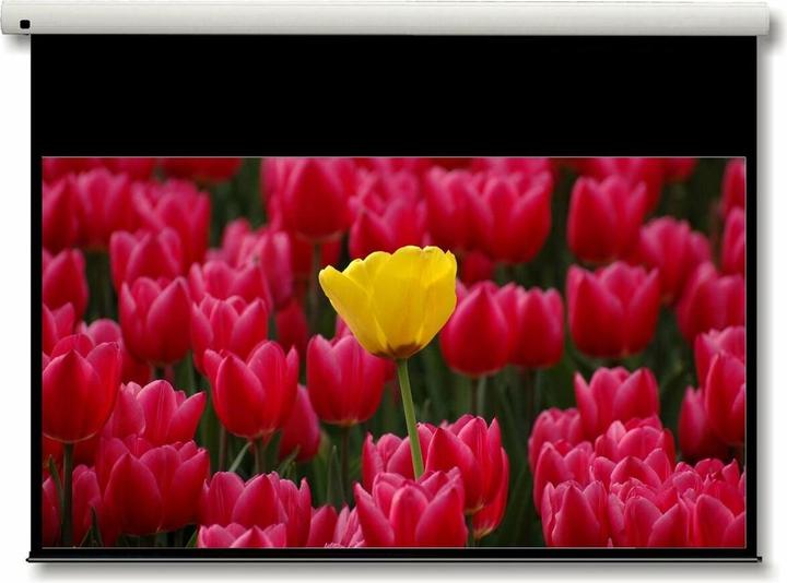 Produktbild Optoma Panoview Electric, Gain 1.0, 16:9, 203x114cm (92", 16:9)