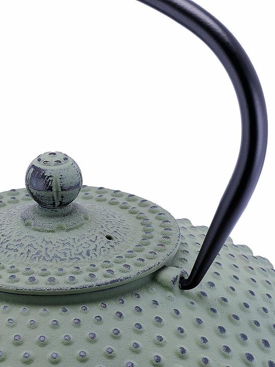 Productafbeelding Bredemeijer Teekanne Xilin 1,25l Gusseisen hellgrün 153090 (1.25 l)
