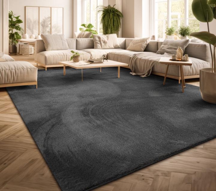 Produktbild TT Home Wohnzimmer Kurzflor Einfarbig Modernes Design Waschbar (220 x 160 cm)