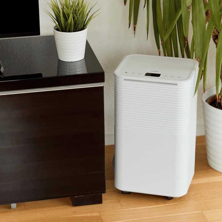 Produktbild ecofort ecoQ 12L Essential (30 m², 12 l/24h)