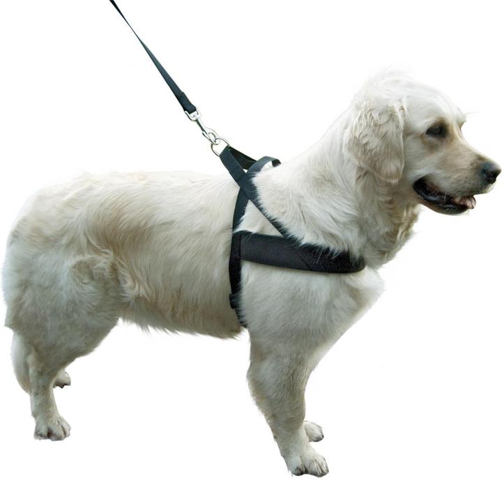 Immagine prodotto Kerbl Imbracatura per cani Miami Plus (60, 62, 68, Cane, Sport cane)