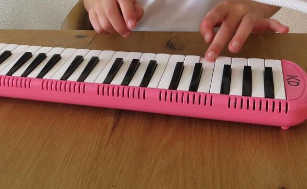 Actual product image keepdrum Melodica Pink 37 keys with bag and music booklet (German)