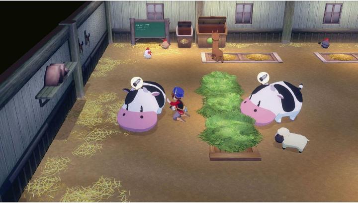 Actual product image Marvelous Story of Seasons: Grand Bazaar NSW2 (Switch 2, DE)