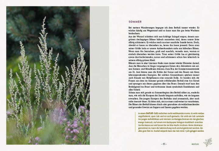 Actual product image Die wilden Neun (German, Simone Detto, Doris Grappendorf, 2023)