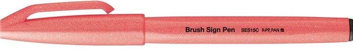 Actual product image Pentel Brush Sign Pen (1x)