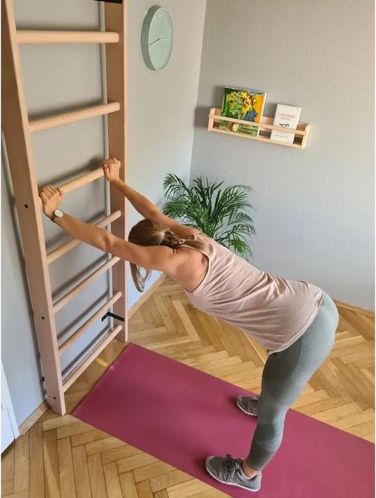 Produktbild BenchK Sprossenwand System 112