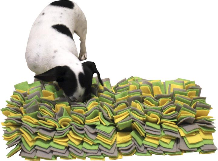 Image du produit Kerbl Schnüffelteppich (Jouet intelligent chien)